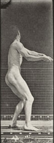 Plate 309 Throwing the hammer — figure reference